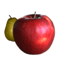 Der Apfel vor der Birne